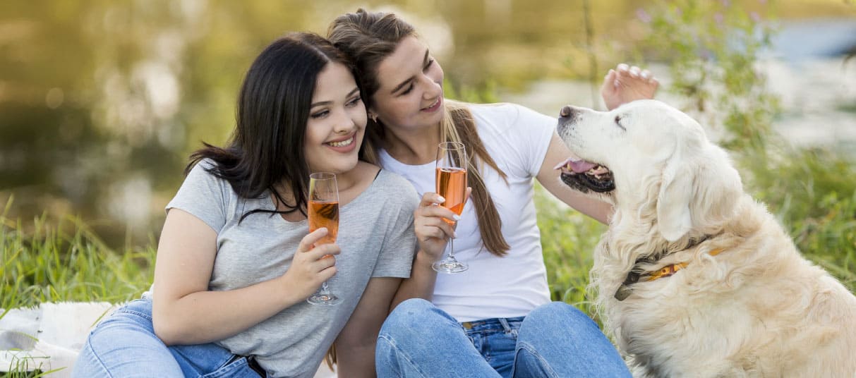 Dog-Friendly Wine Farms in the Eastern Cape – Château Home & Pet Care